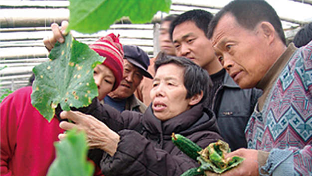 专业服务农业，几十年设计素材--微宏做最懂农科人